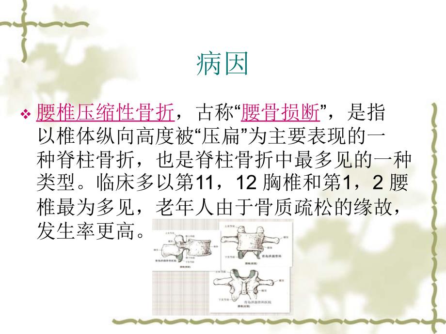 腰椎骨折护理查房_第4页