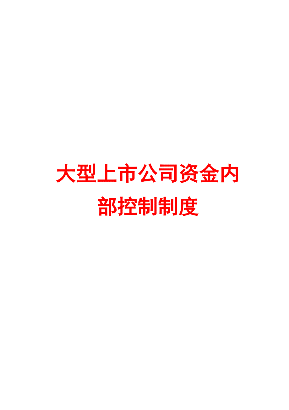 大型上市公司资金内部控制制度精品管理参考资料_第1页