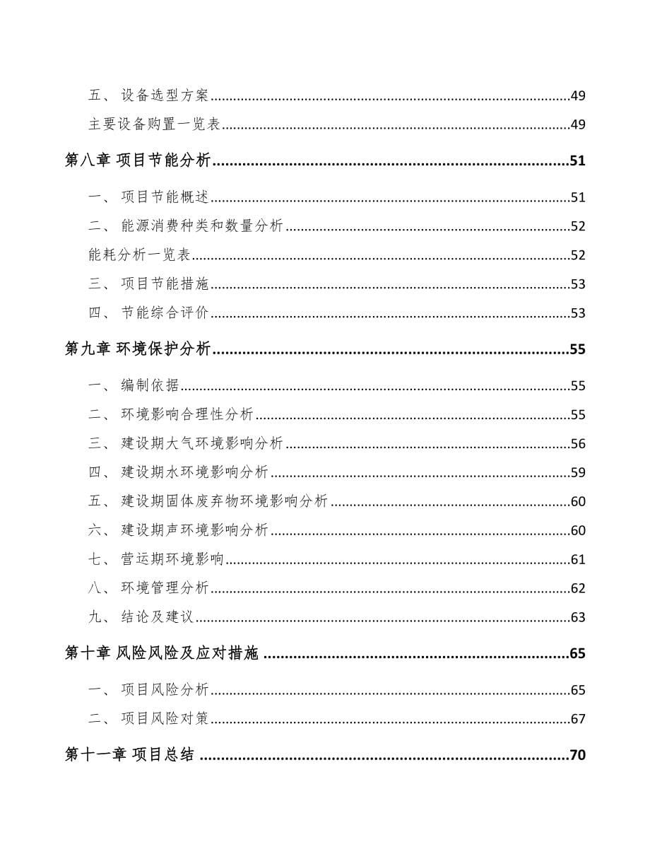 郑州安全带项目可行性研究报告_第5页