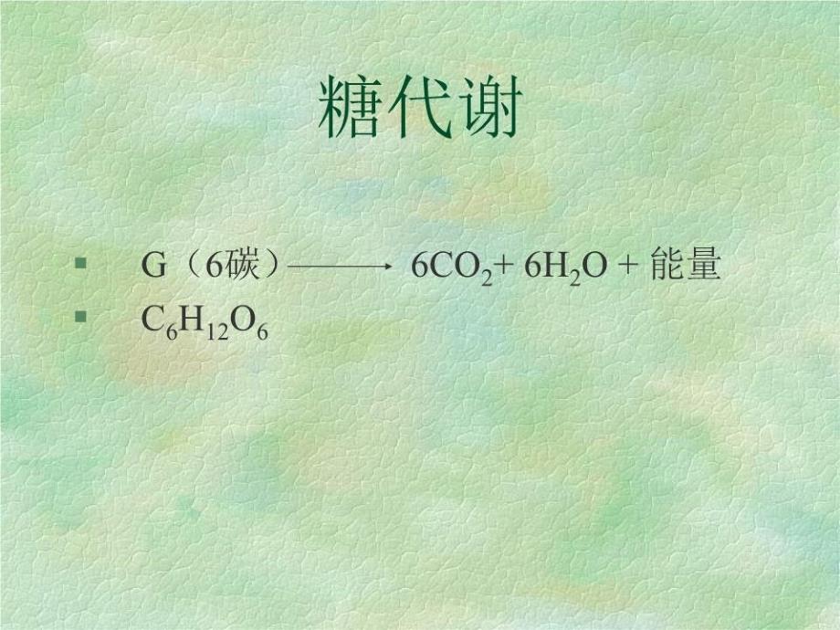 《二篇物质代谢》PPT课件.ppt_第4页