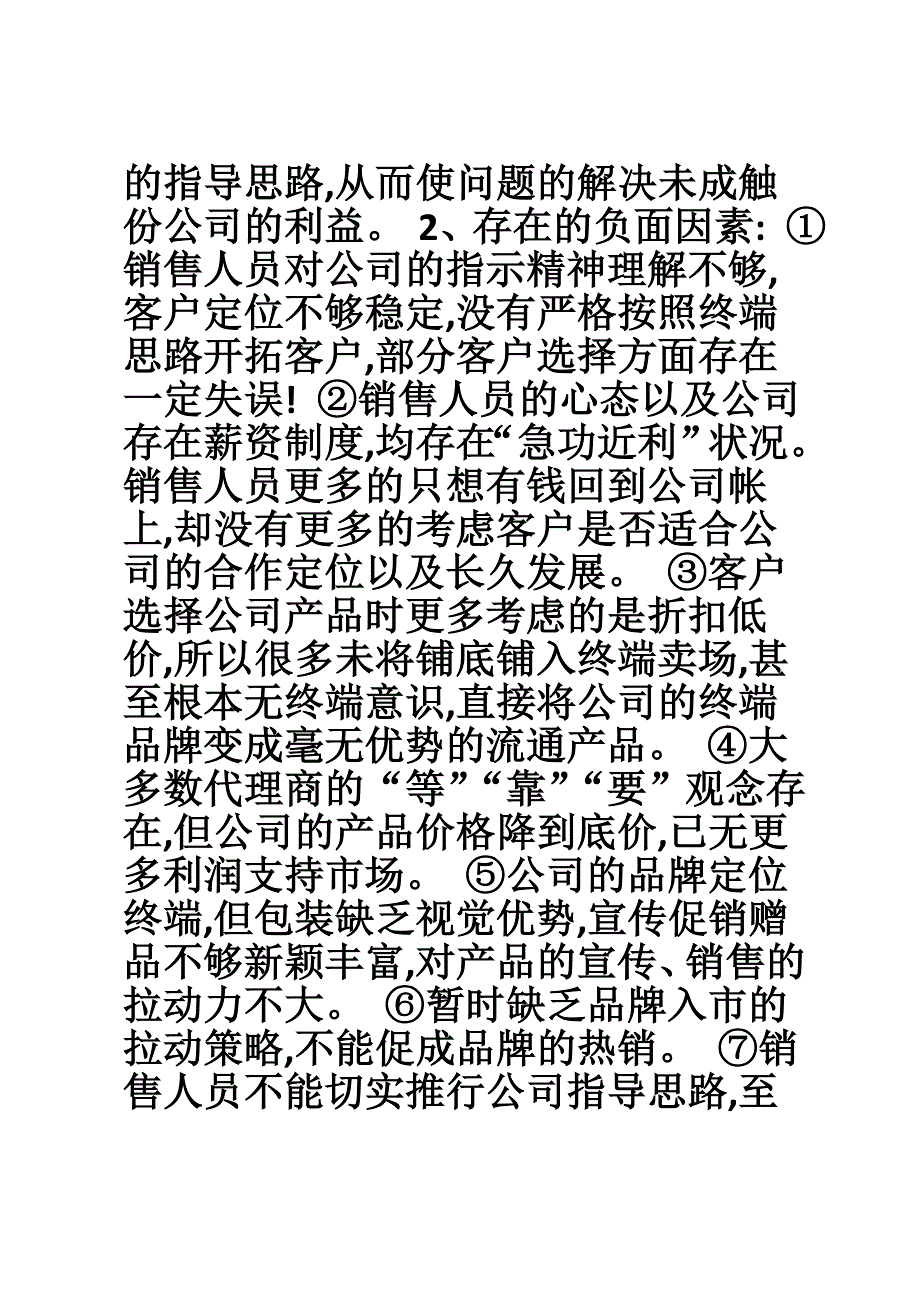 营销总监年终总结.doc_第2页