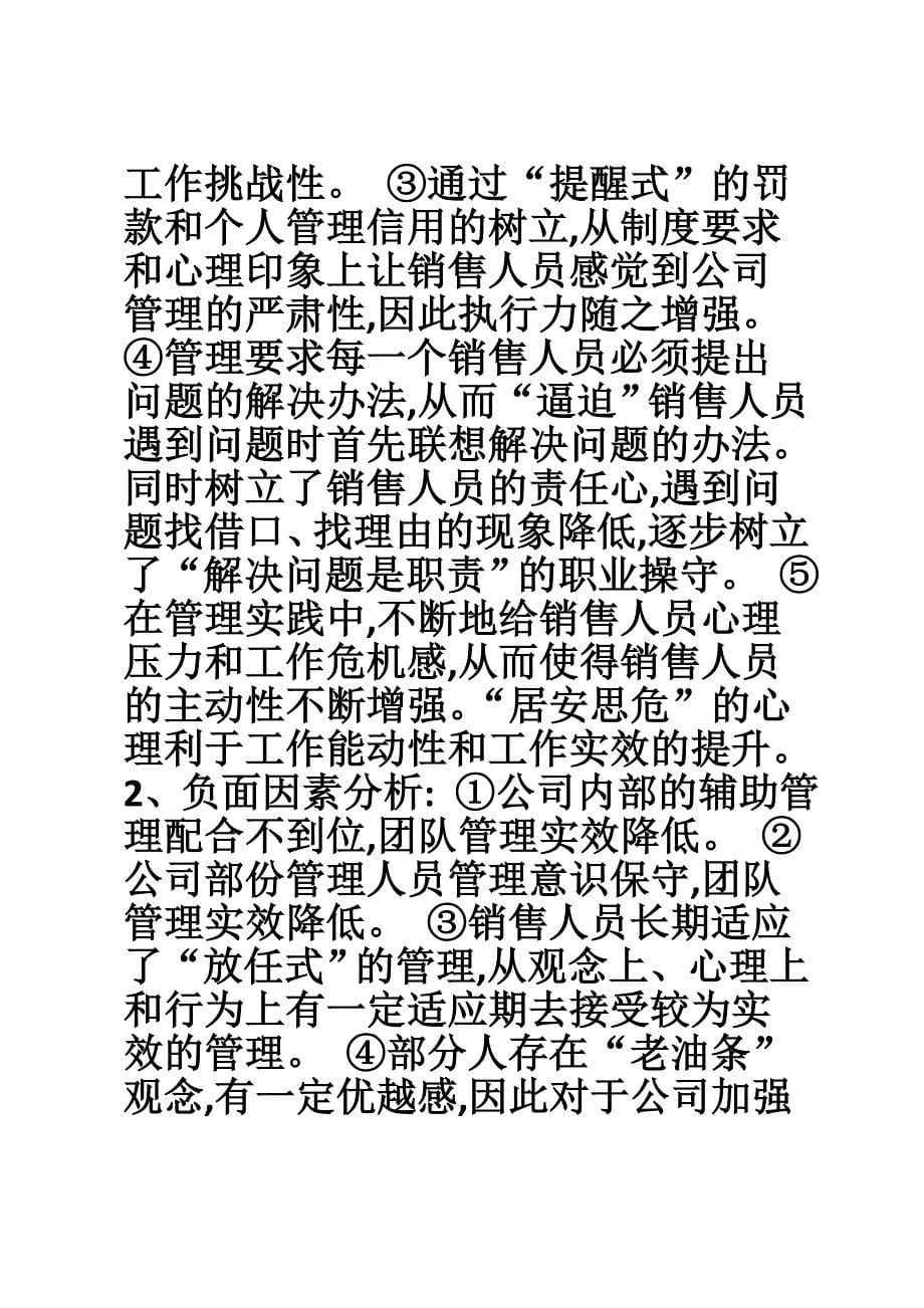 营销总监年终总结.doc_第5页