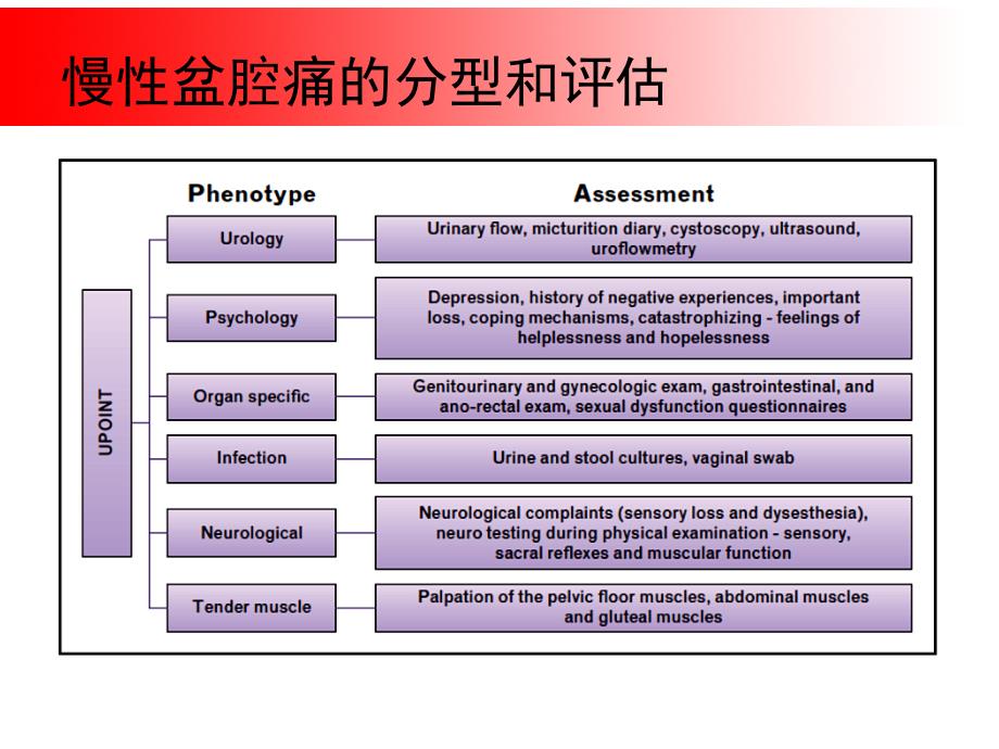 超声引导下盆腔疼痛介入治疗_第4页