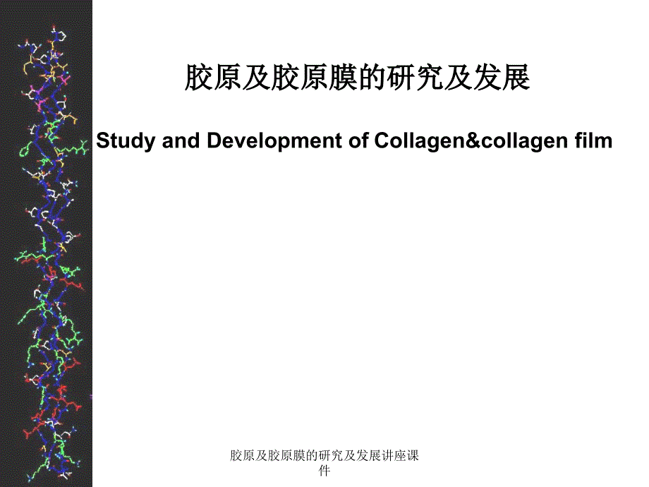 胶原及胶原膜的研究及发展讲座课件_第1页