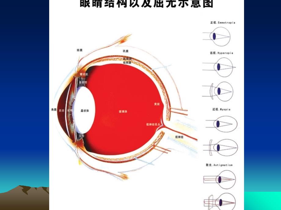 综合验光仪的使用图解_第3页