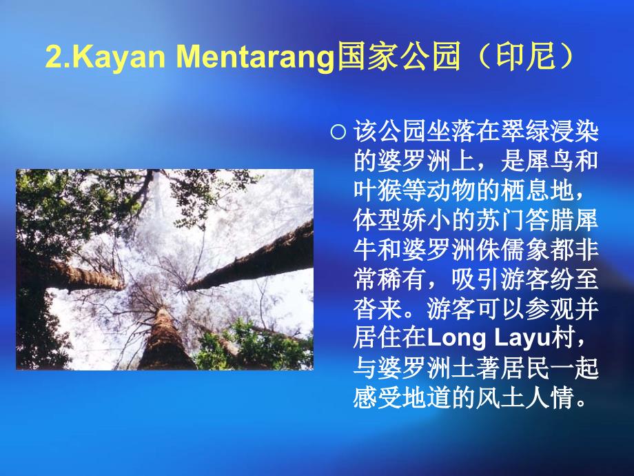 世界十大最古老的原始森林.ppt_第3页