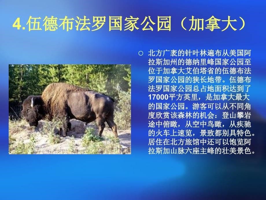 世界十大最古老的原始森林.ppt_第5页