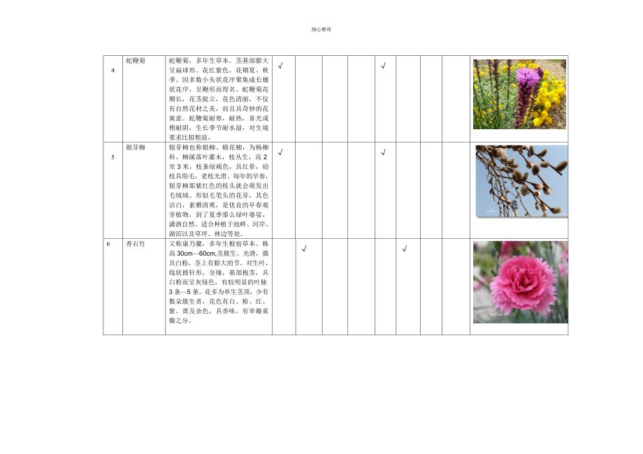 插花花材类型分类表_第2页