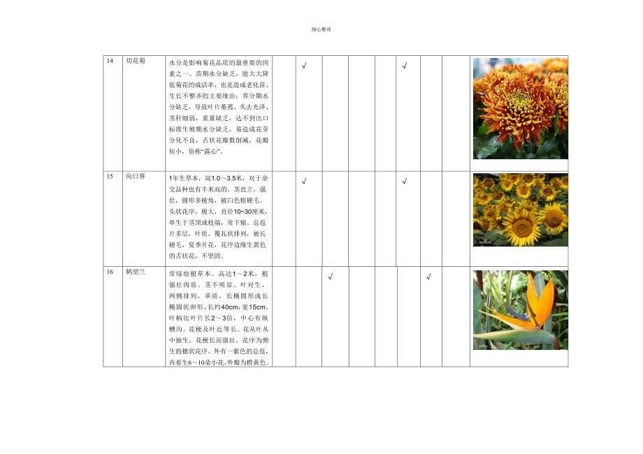 插花花材类型分类表_第5页