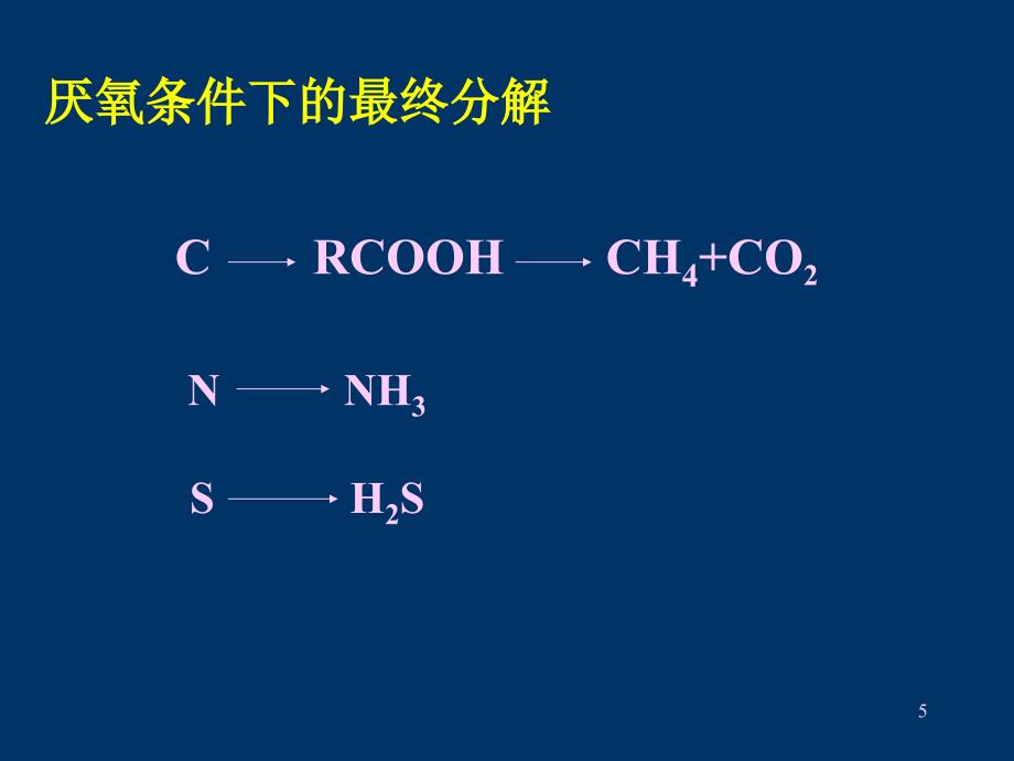 CH8微生物在环境物质循环中的作用_第5页