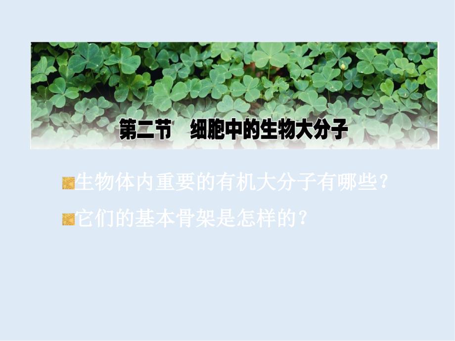 高一生物苏教版必修1教学课件：第2章 2.2细胞中的生物大分子_第1页