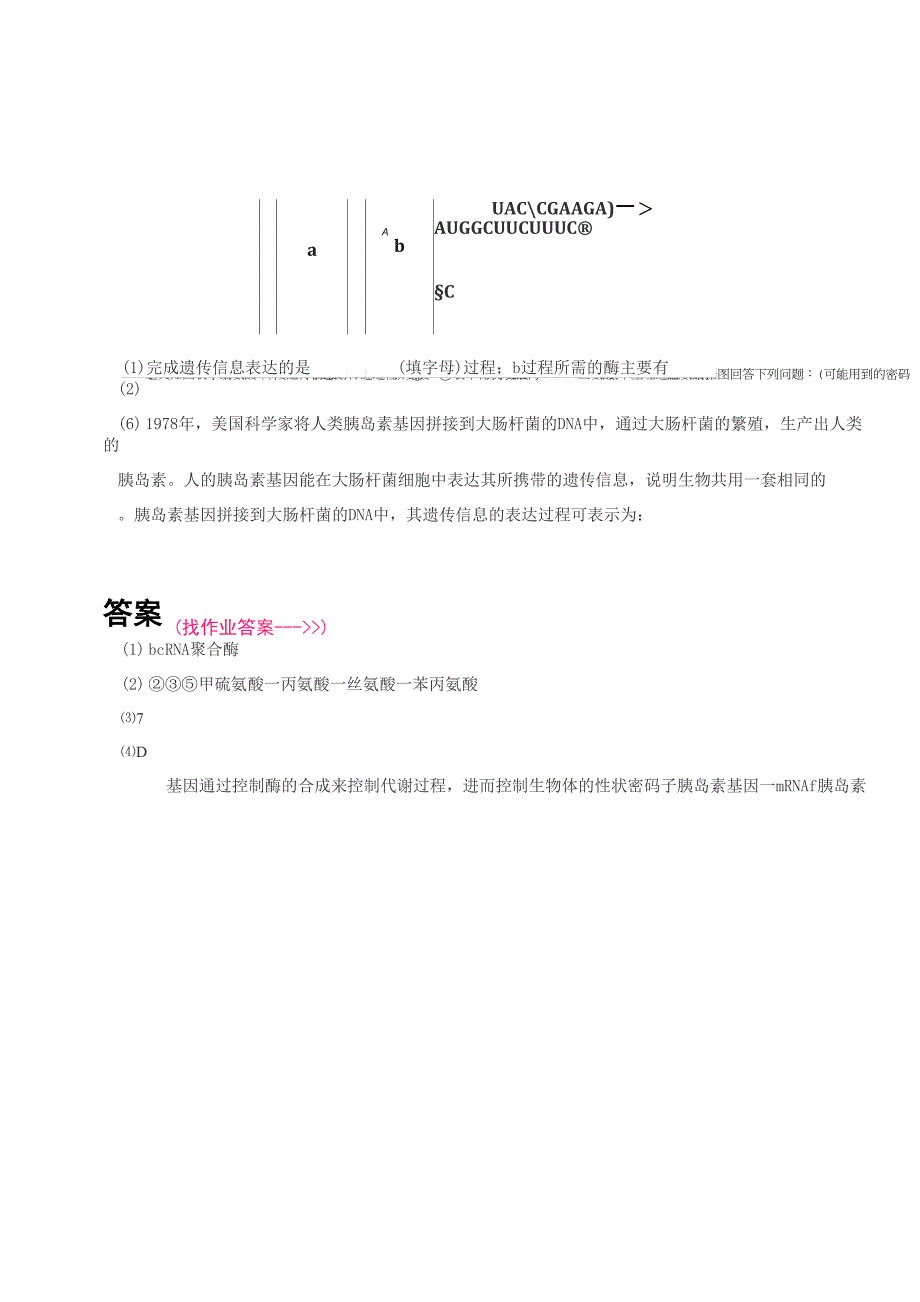 基因、蛋白质和性状的关系_第3页