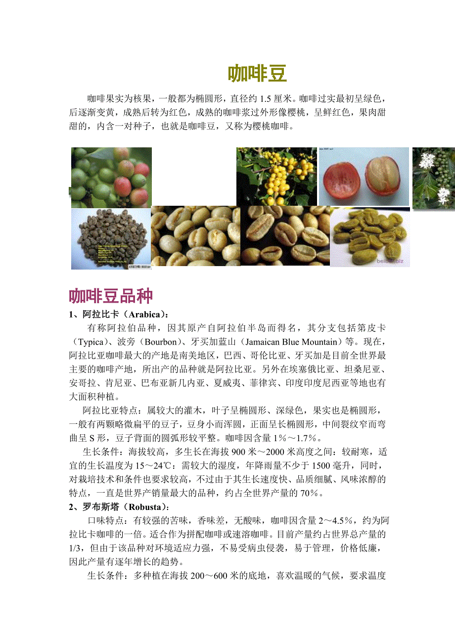 咖啡豆的简介_第1页