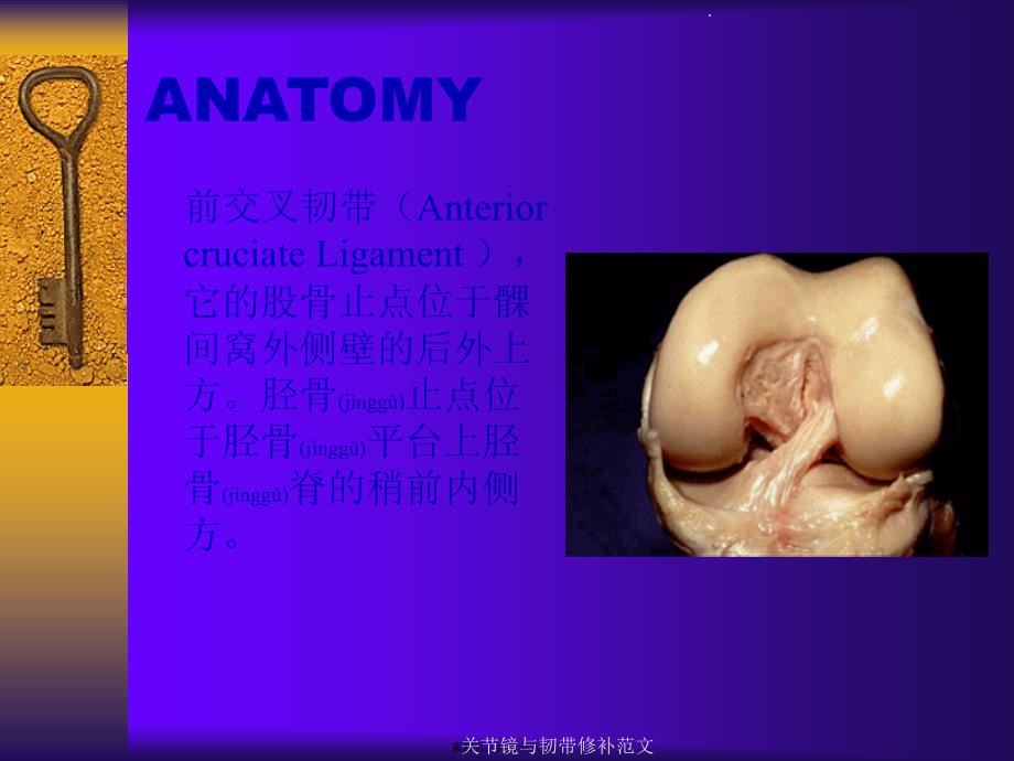 关节镜与韧带修补范文课件_第4页