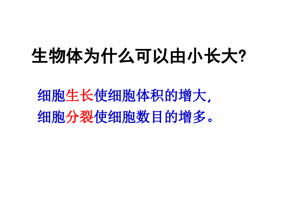 第三节细胞通过分裂产生新细胞_第2页