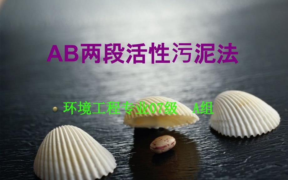 AB两段活性污泥法.ppt