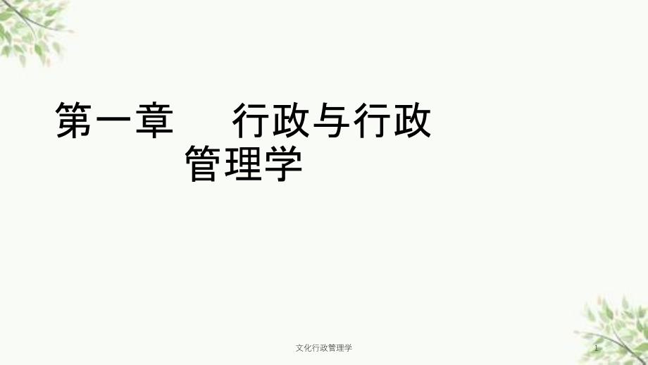 文化行政管理学课件_第1页