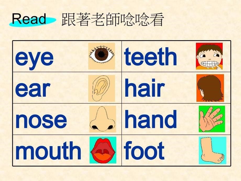 身体部位课件.ppt_第5页