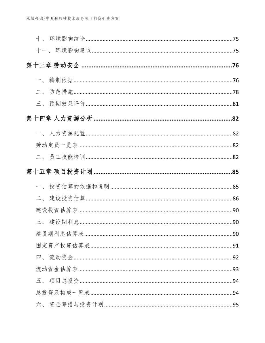 宁夏颗粒硅技术服务项目招商引资方案_第5页