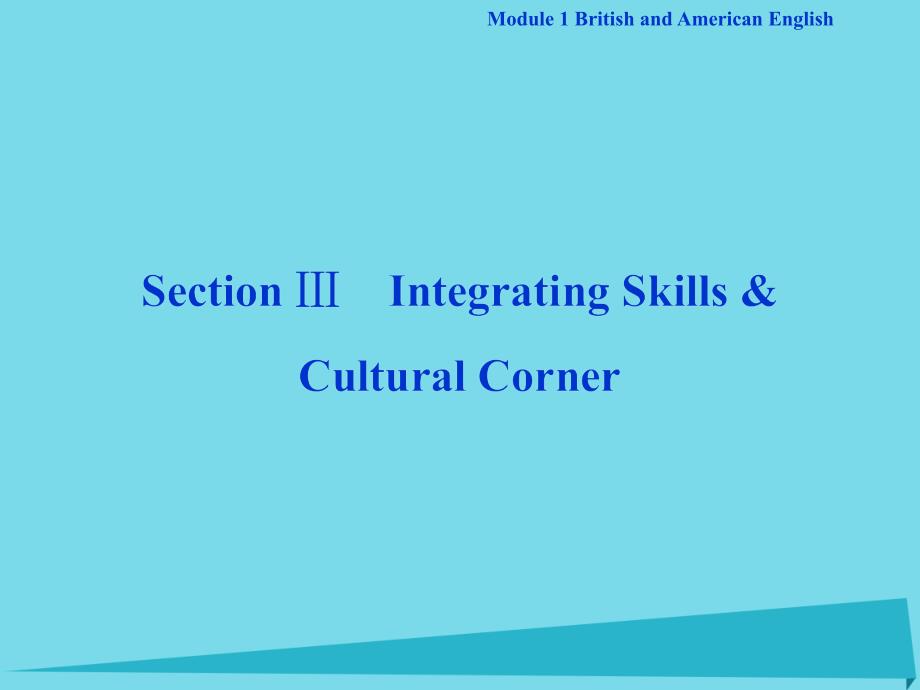 高中英语 Module 1 British and American English Section Ⅲ Integrating Skills &amp; Cultural Corner 外研版必修5_第1页