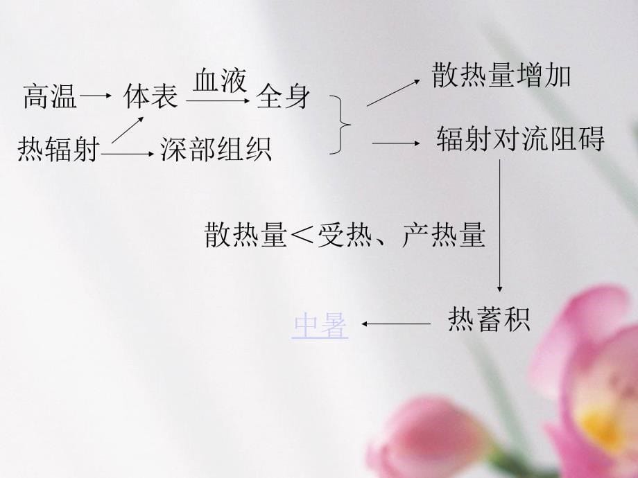 第四部分物理因素及其危害_第5页