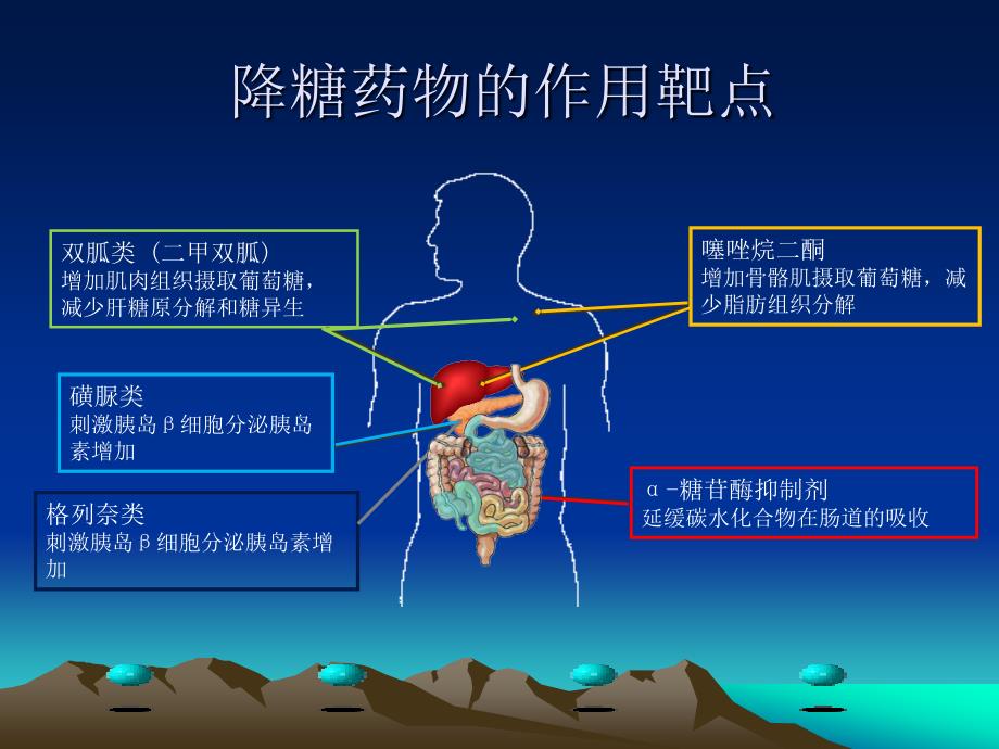 糖尿病口服降糖药ppt课件.ppt_第4页