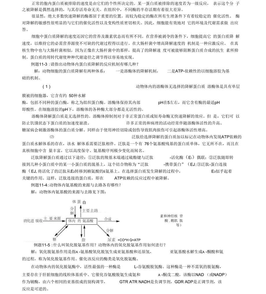 《杨在清》第11章氨基酸代谢_第5页