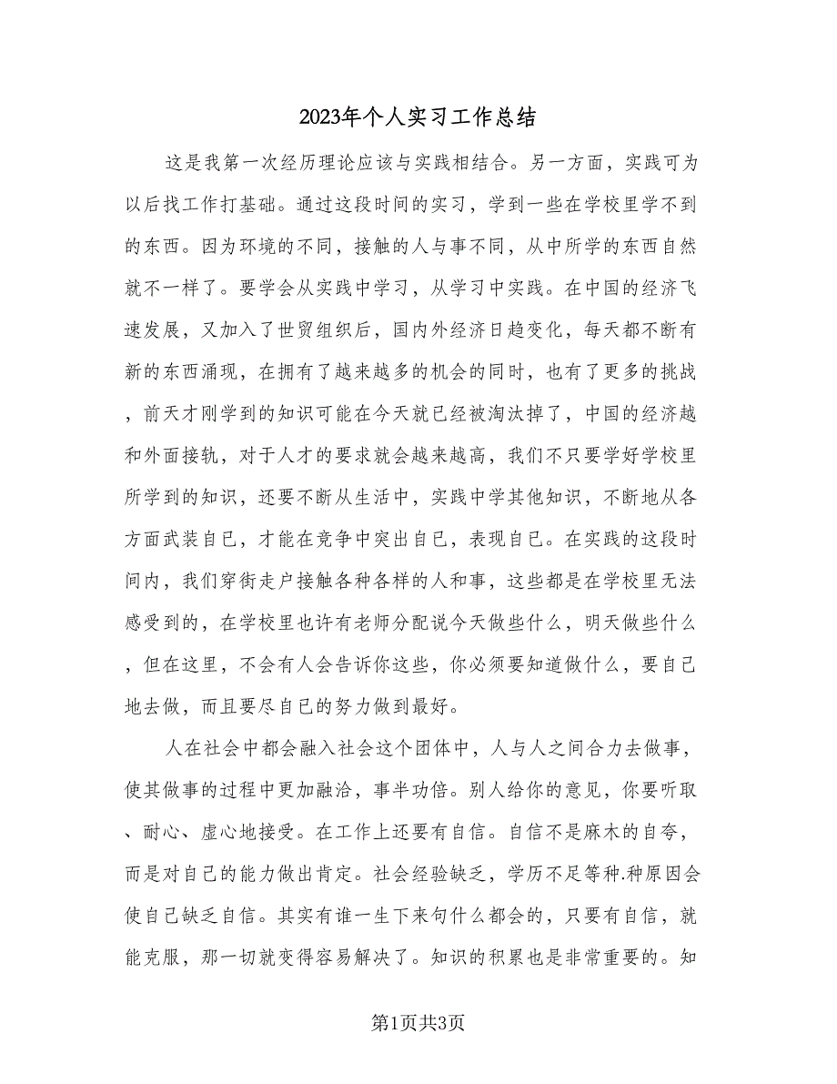 2023年个人实习工作总结（二篇）.doc_第1页