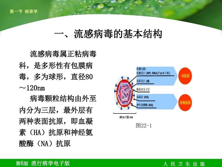 最新第二十二章流行性感冒_第5页