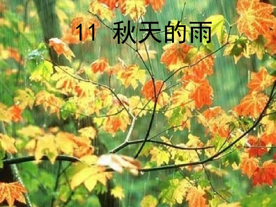 11、《秋天的雨》课件(2)_第1页