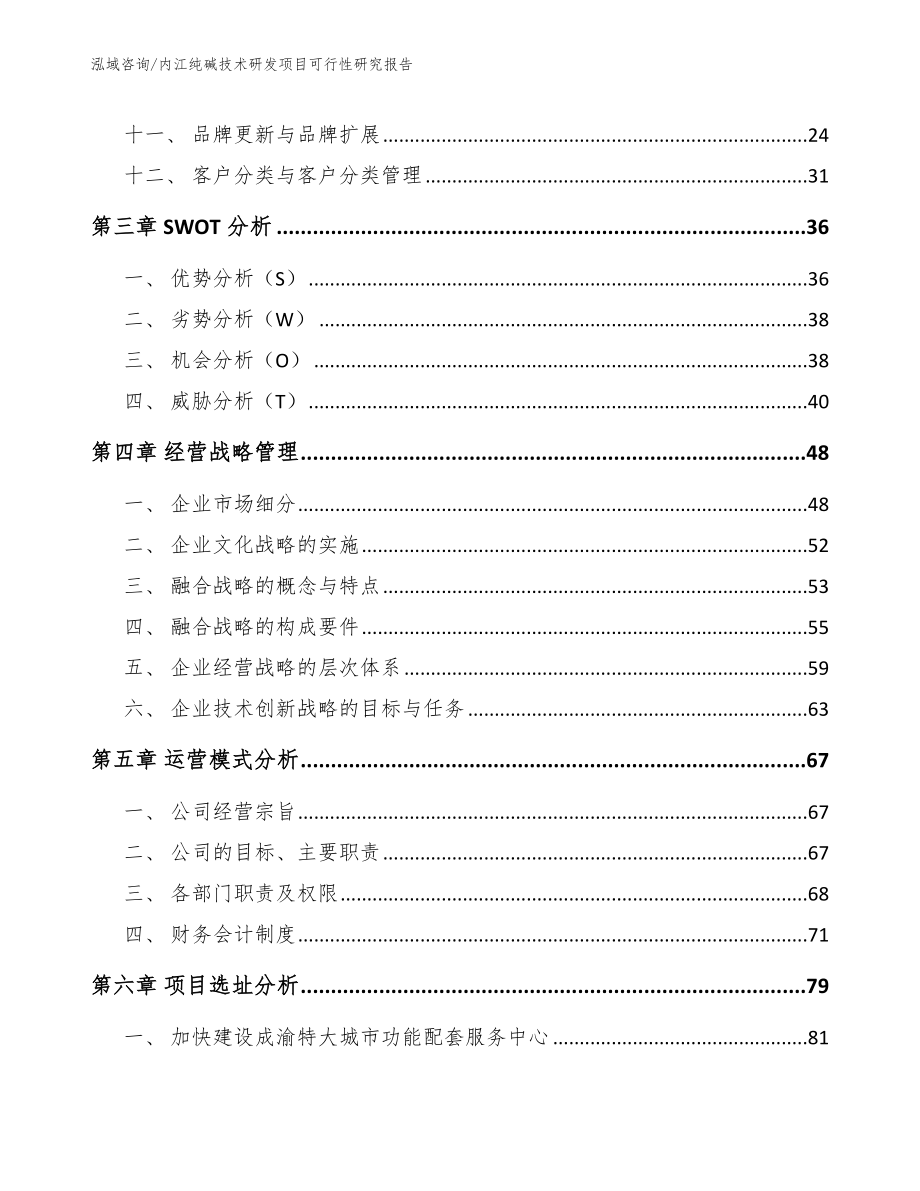 内江纯碱技术研发项目可行性研究报告_第3页
