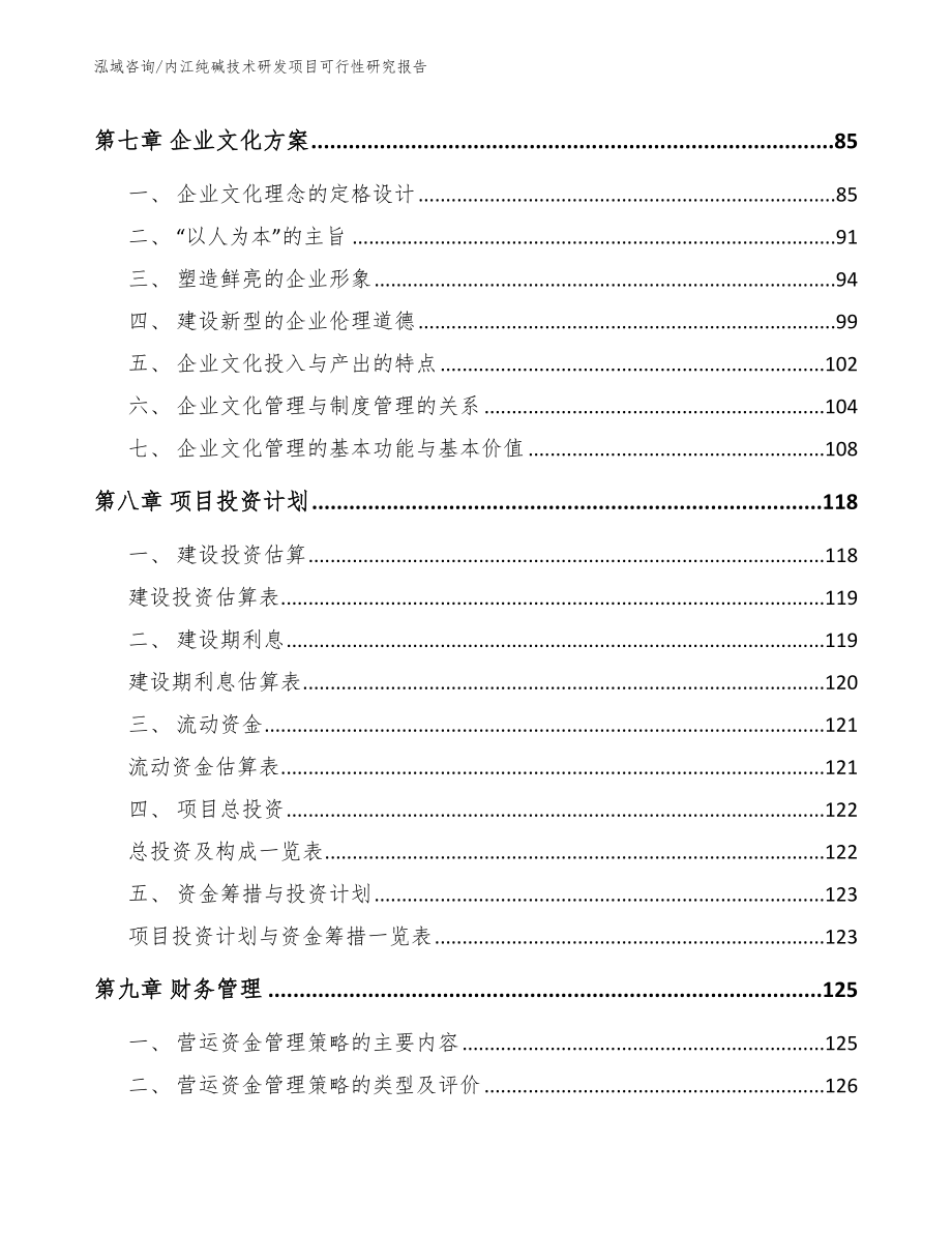 内江纯碱技术研发项目可行性研究报告_第4页