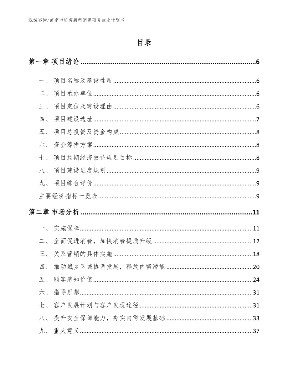 南京市培育新型消费项目创业计划书_第1页