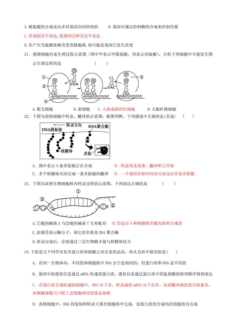 第4章基因的表达单元测试.doc_第4页