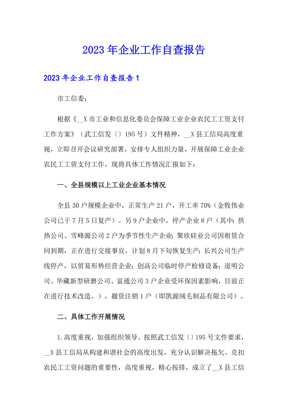 2023年企业工作自查报告_第1页