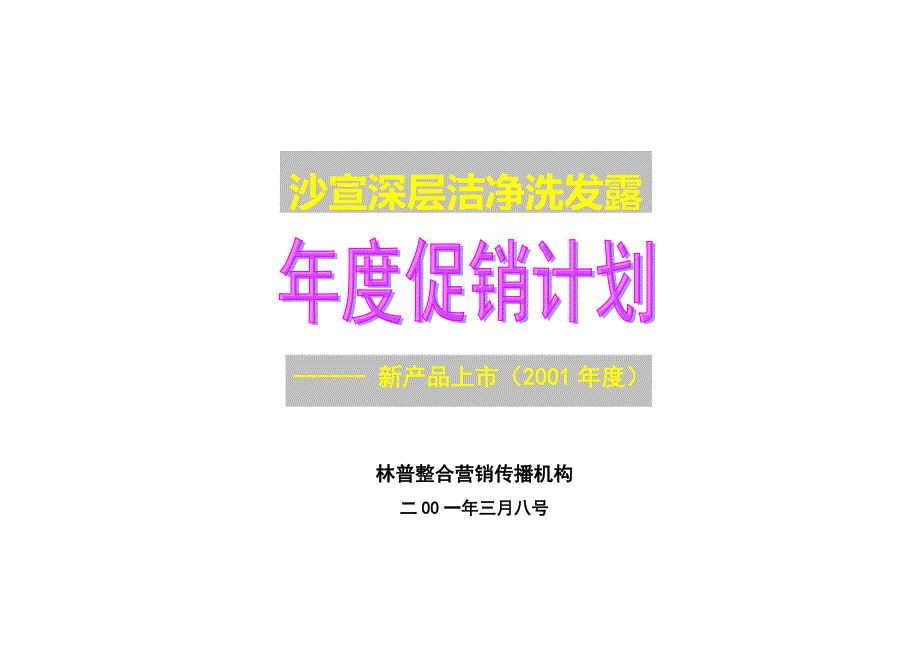 沙宣新产品上市年度促销计划_第1页