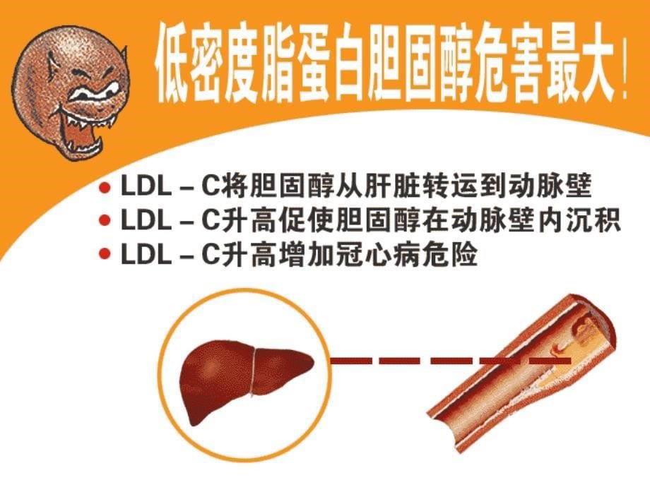 检查血脂的意义及血脂异常的危害_第5页