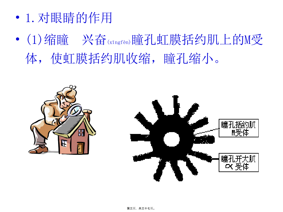 医学专题—第六章-拟胆碱药抗胆碱药4675_第3页