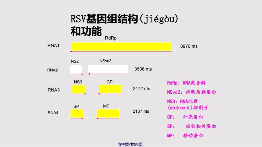 CP与植物和昆虫互作的研究实用教案_第4页