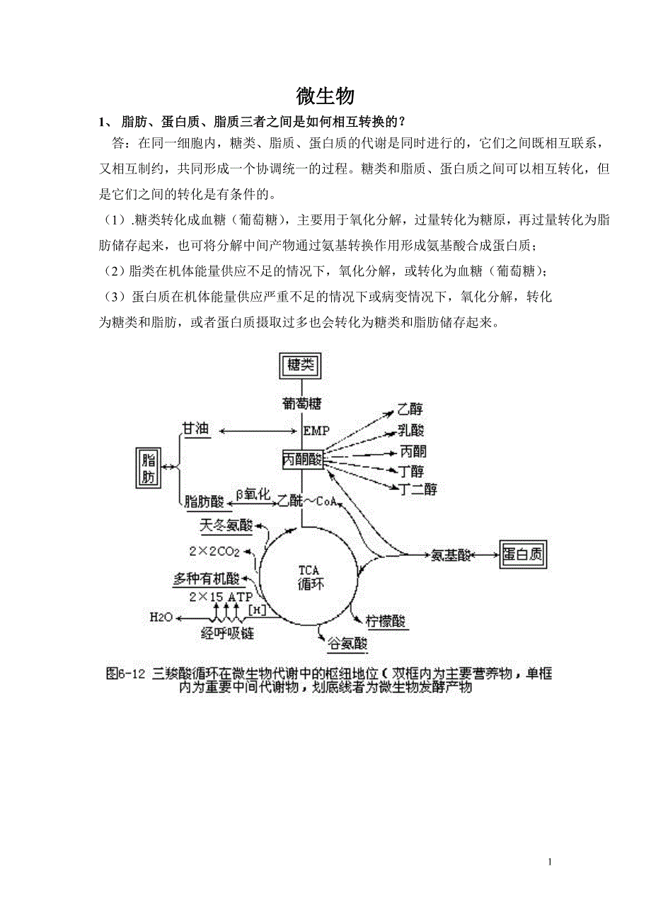 微生物大题重点_第1页
