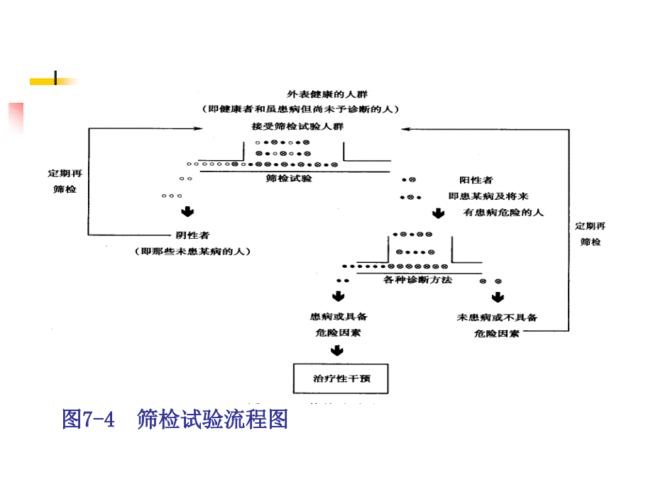 流行病学教学课件：筛检与诊断试验_第3页