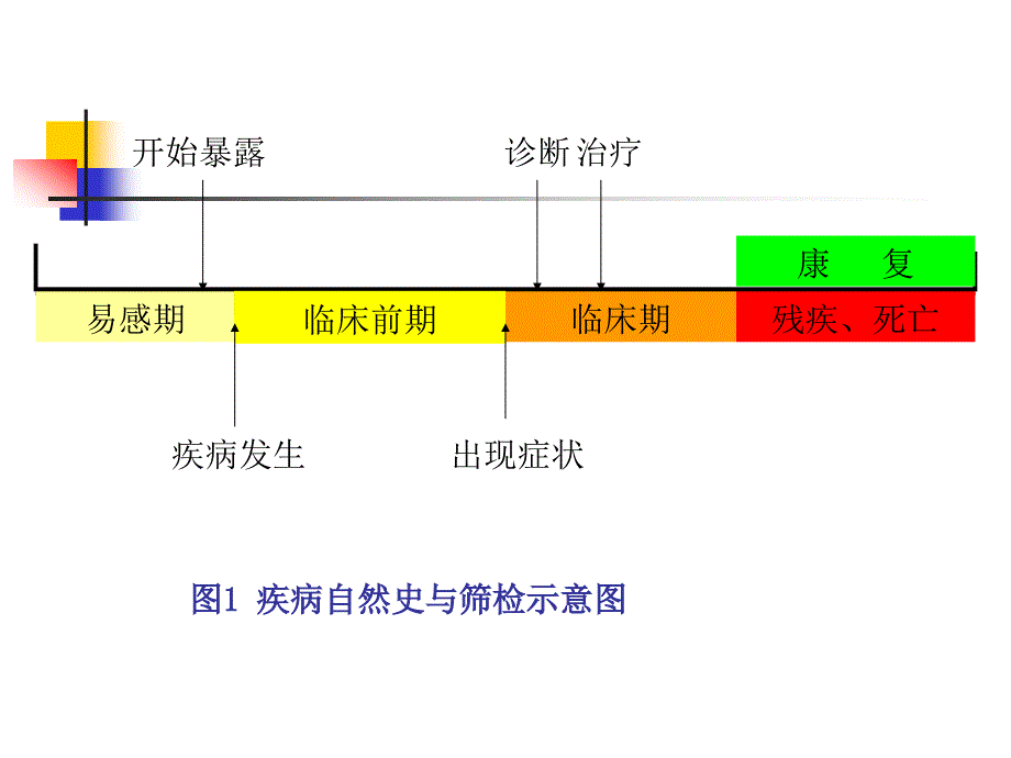 流行病学教学课件：筛检与诊断试验_第4页