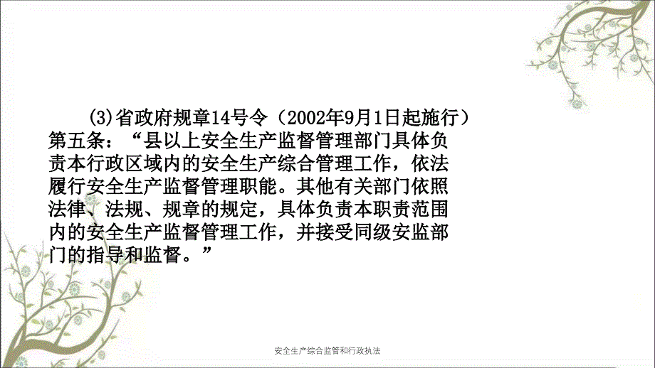 安全生产综合监管和行政执法PPT课件_第4页