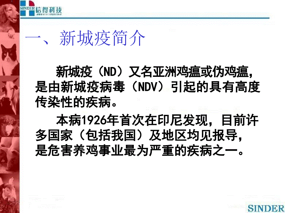 《城疫的综合防治》PPT课件.ppt_第2页