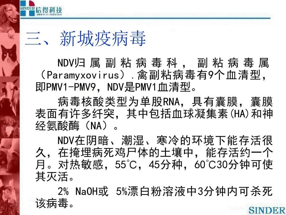 《城疫的综合防治》PPT课件.ppt_第5页