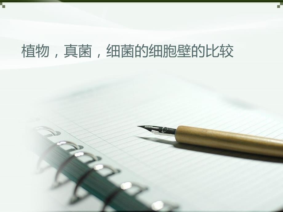 医学专题：植物-细菌-真菌细胞壁的比较_第1页