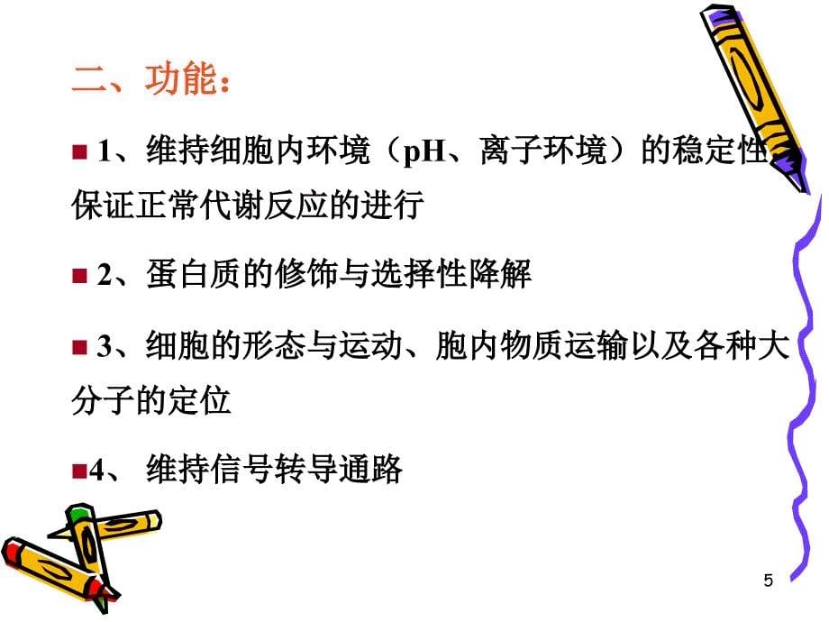 细胞生物学8内膜系统内质网课堂PPT_第5页