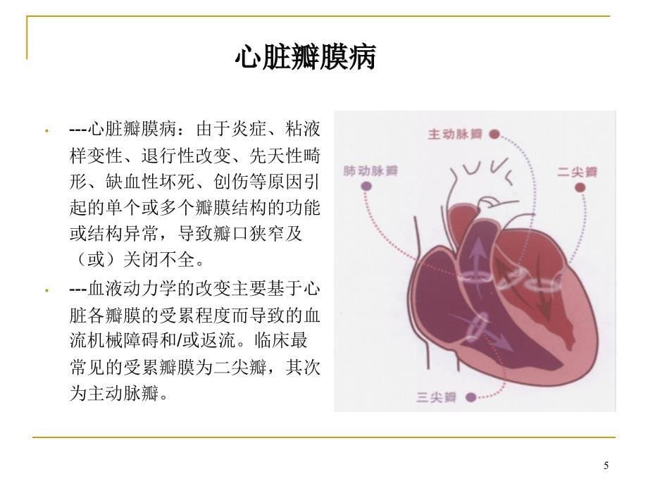 （优质课件）循环系统常见疾病症状和体征_第5页