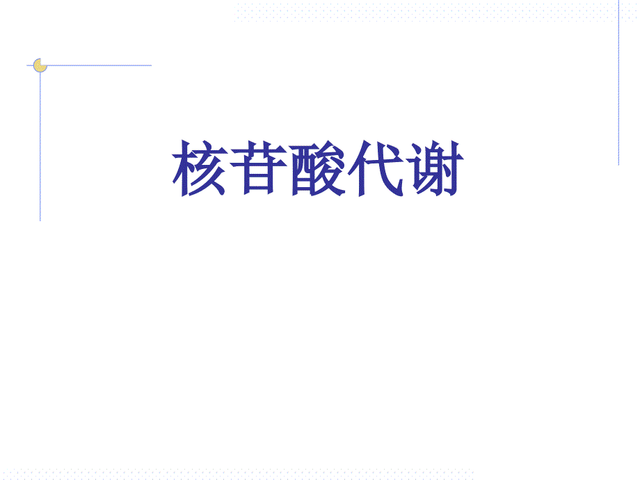 生物化学核酸代谢与蛋白质生物合成1课件_第2页