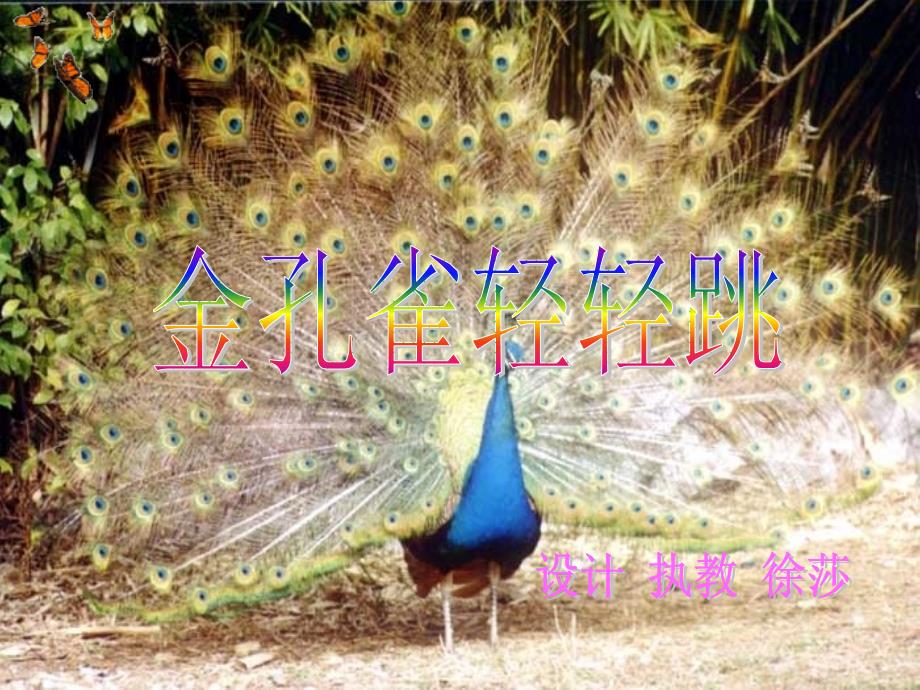 金孔雀轻轻跳19_第1页